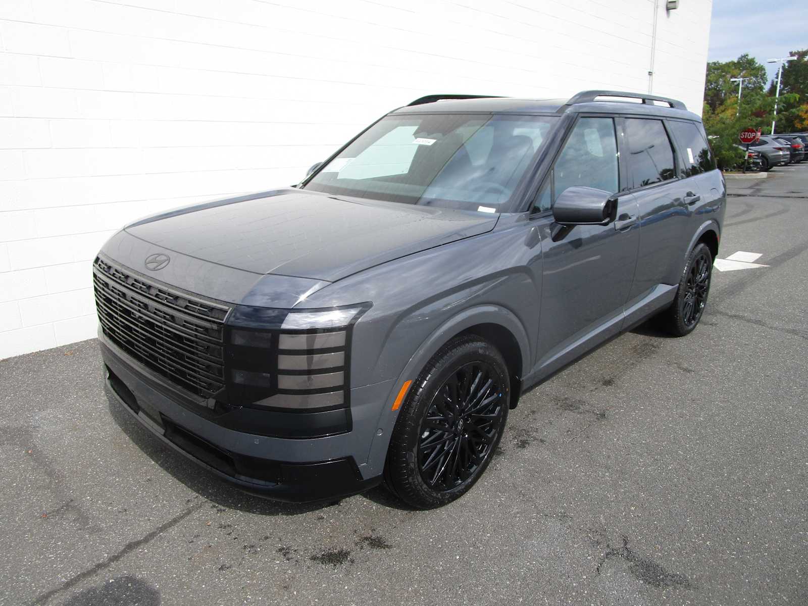  Hyundai Palisade Hybrid
