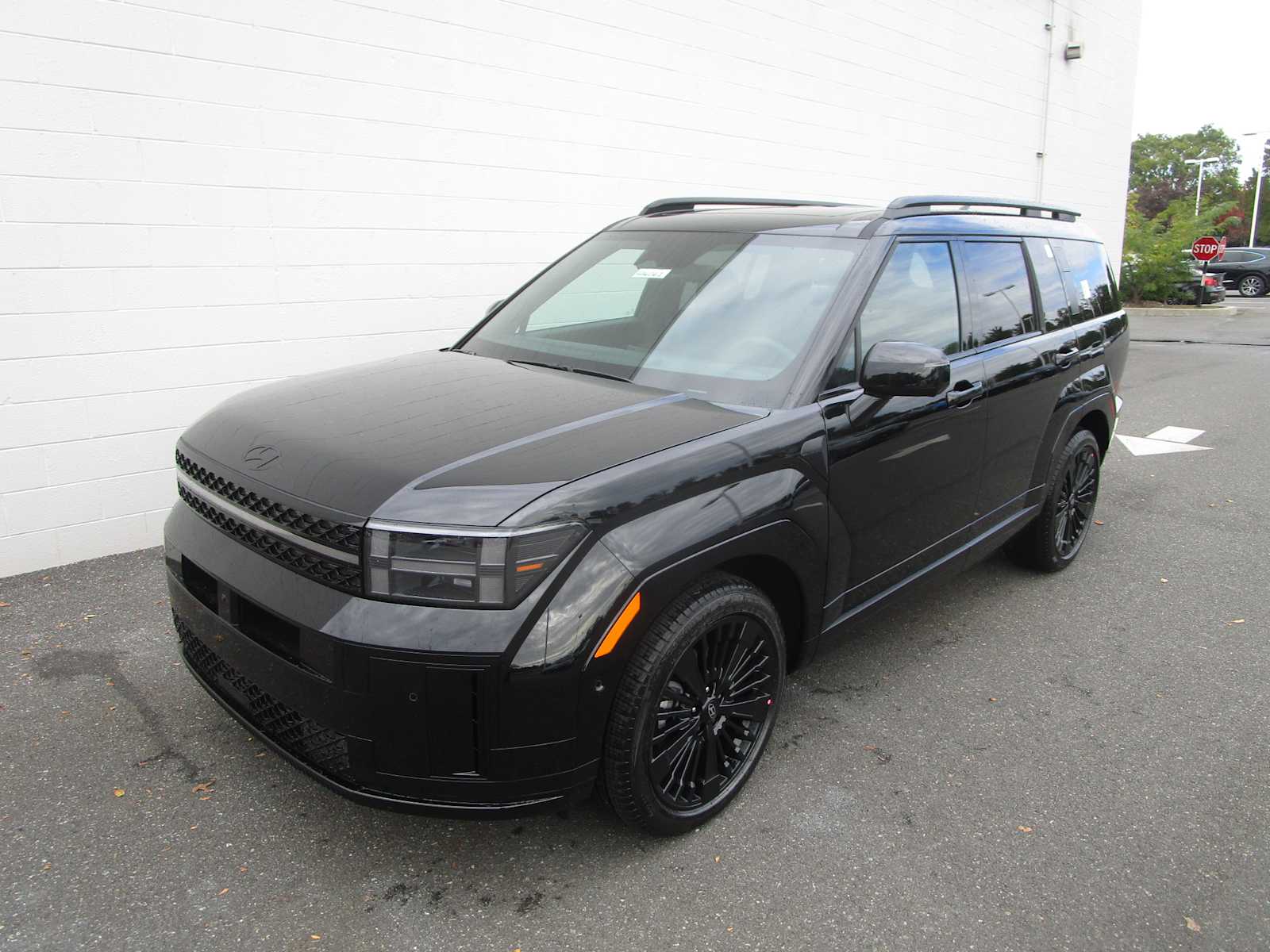 2026 Hyundai Santa Fe Calligraphy's photo