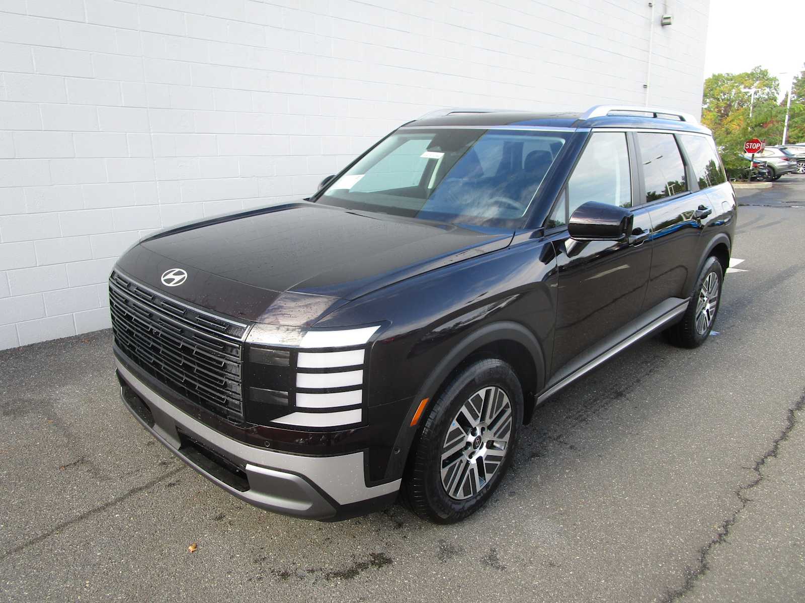  Hyundai Palisade Hybrid