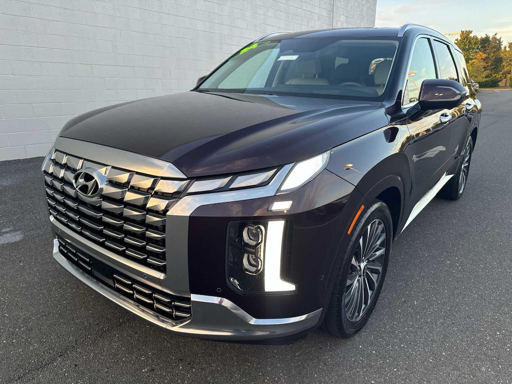 Used 2024 Hyundai Palisade Calligraphy For Sale DE H25005A