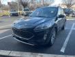 Used 2020 Ford Escape Titanium Hybrid SUV