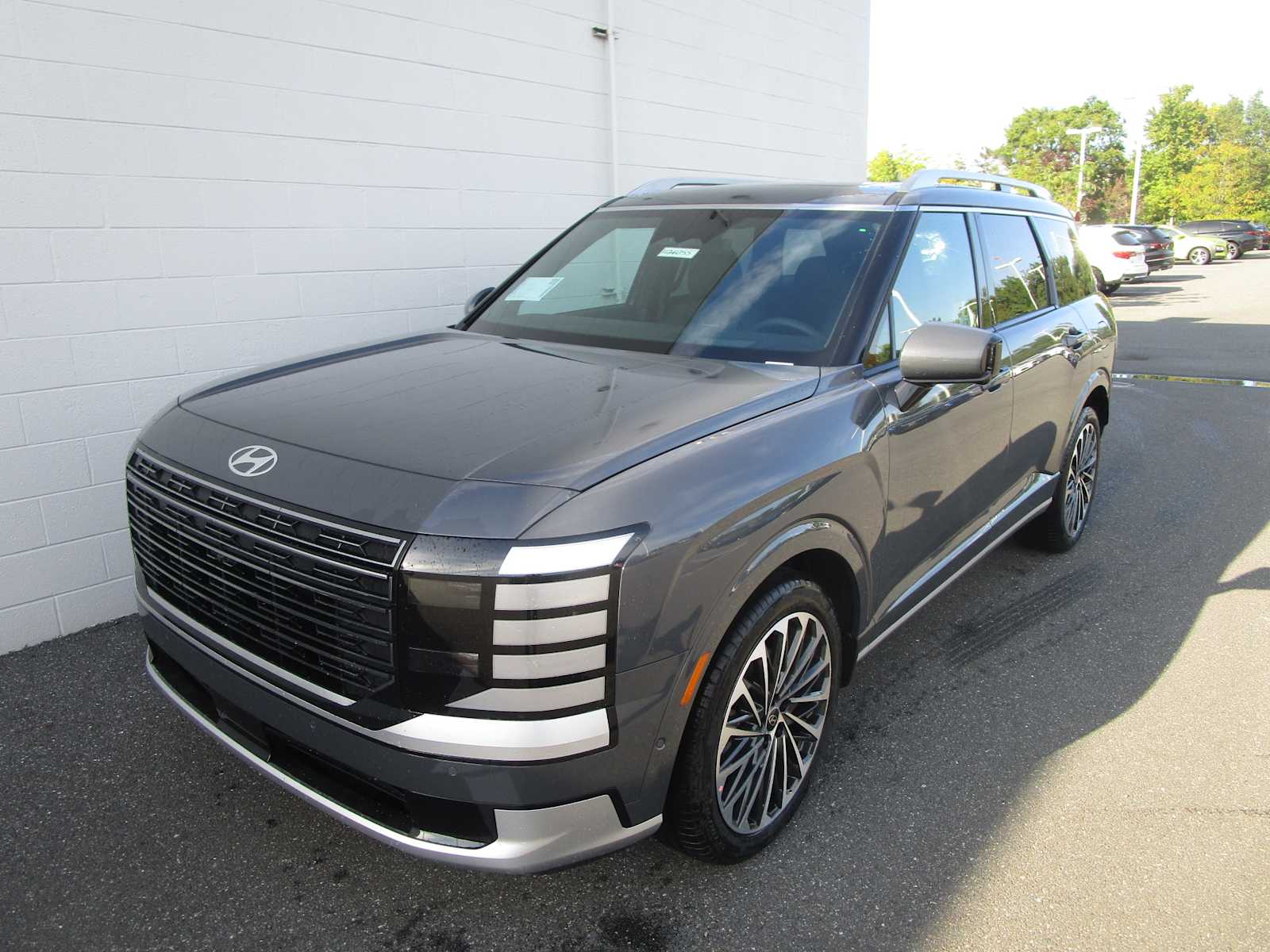 2026 Hyundai Palisade Calligraphy's photo