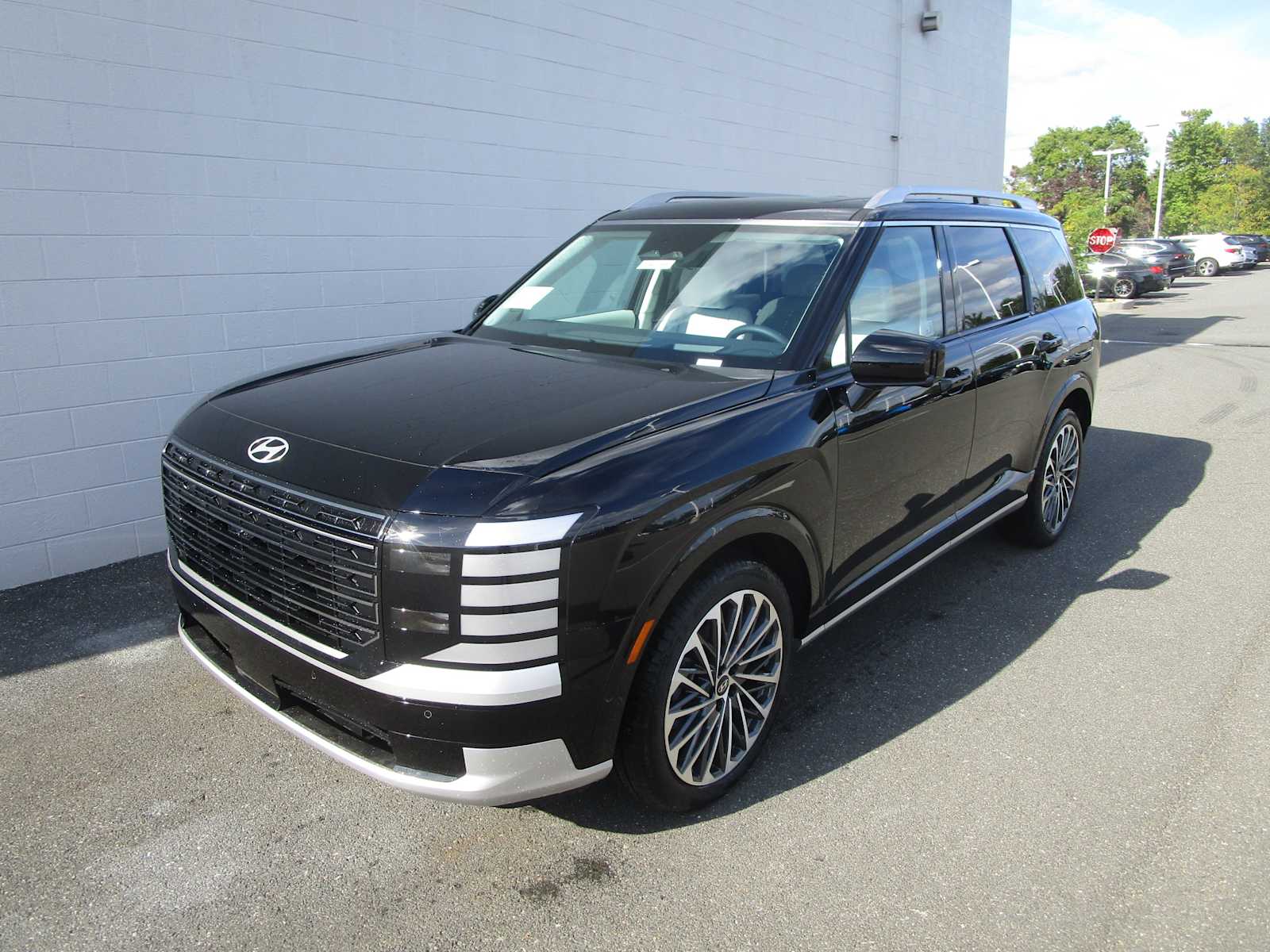 2026 Hyundai Palisade Calligraphy's photo