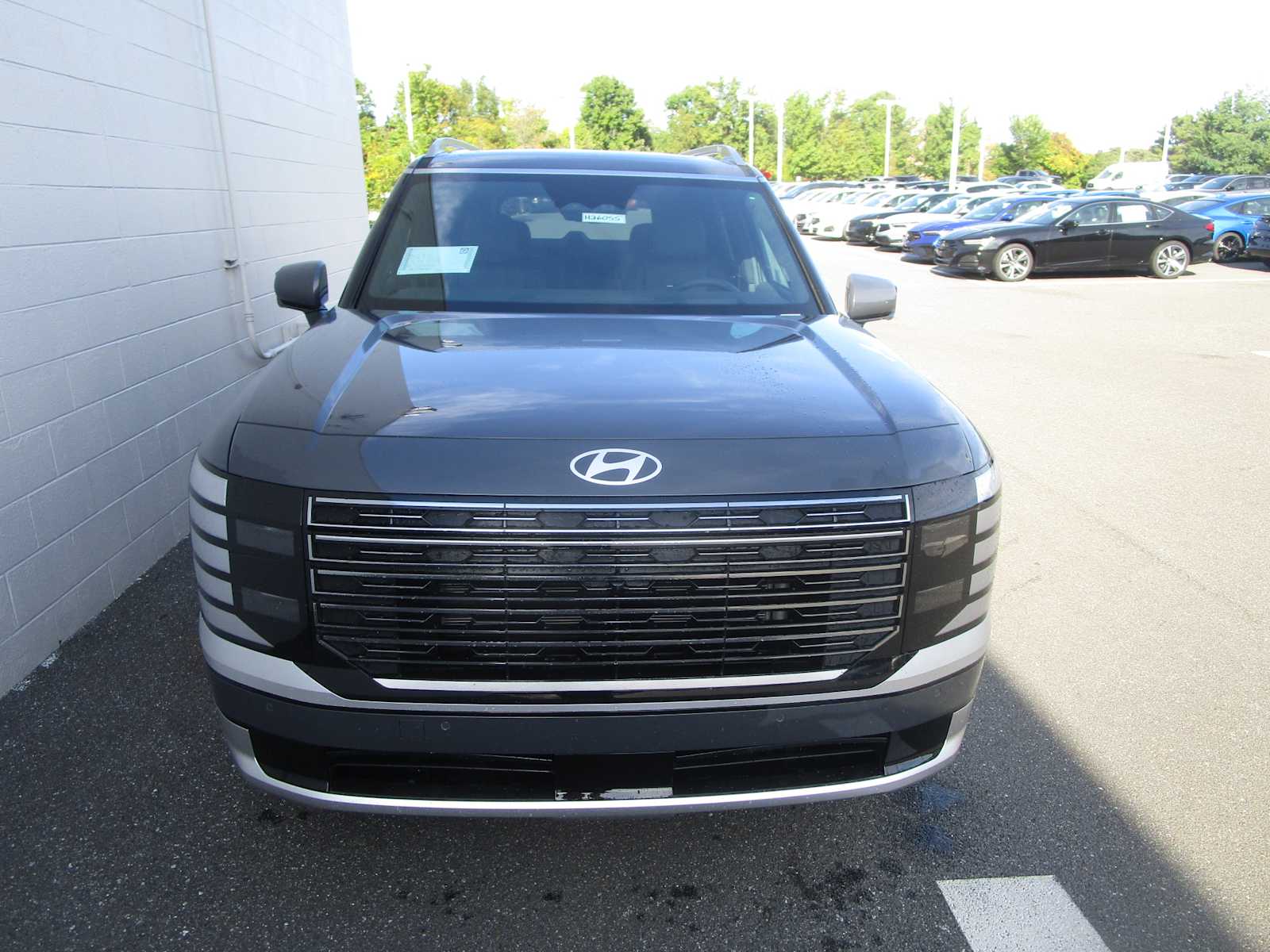 2026 Hyundai Palisade Calligraphy photo 2