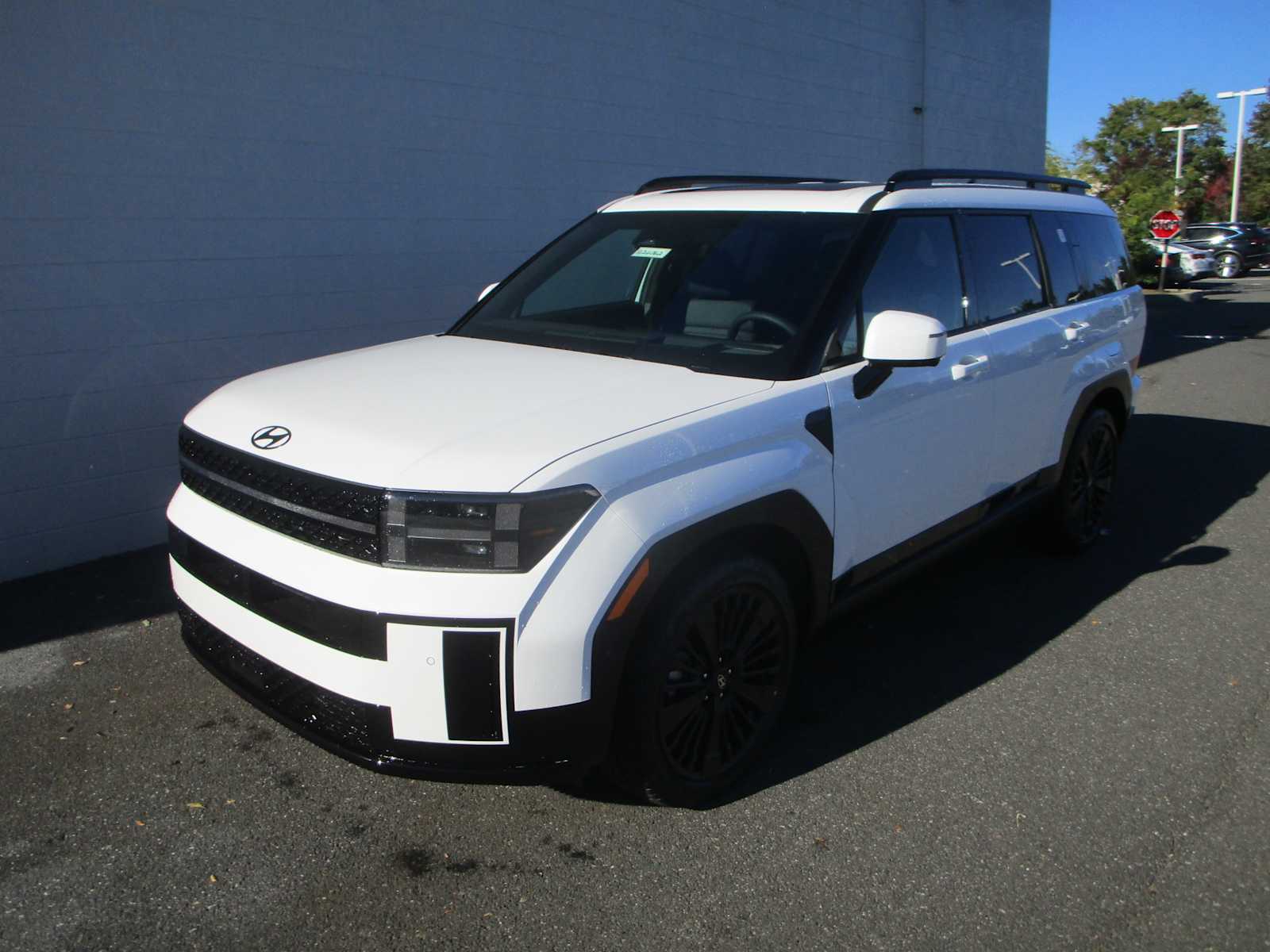 2026 Hyundai Santa Fe Calligraphy's photo