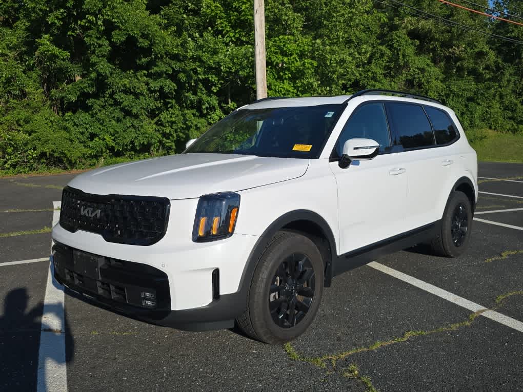2024 Kia Telluride SX Prestige X-Pro AWD's photo