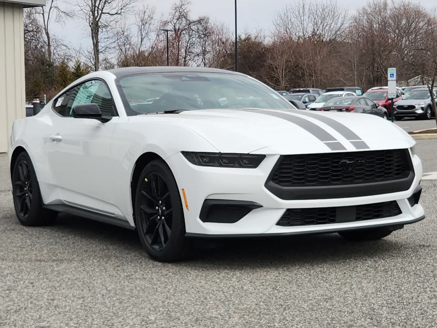 2025 Ford Mustang EcoBoost photo 2