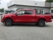 2025 Ford F-150 Lightning Flash TRUCK