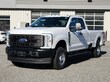  Ford Super Duty F-250 SRW