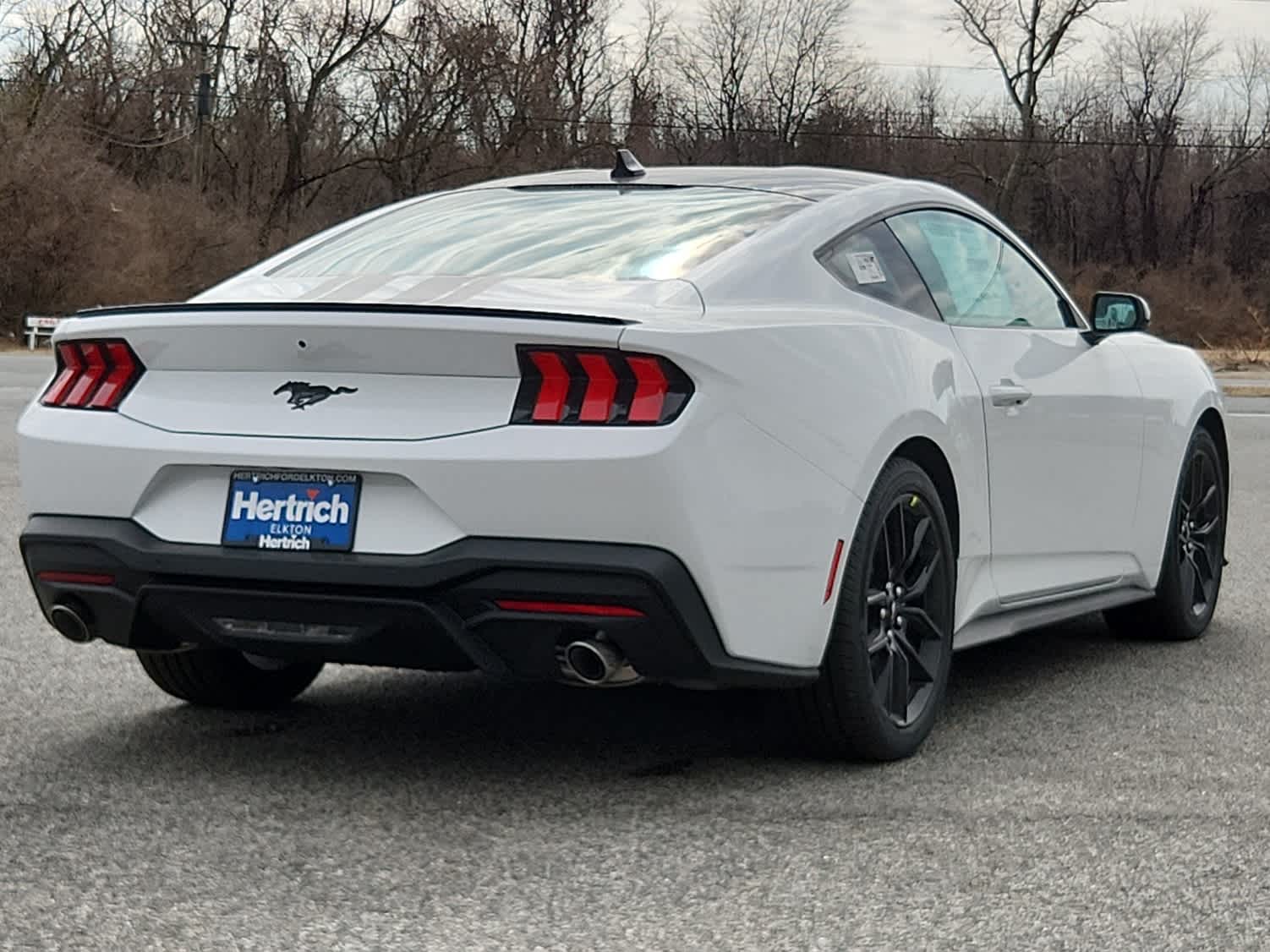2025 Ford Mustang EcoBoost photo 3
