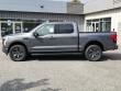 2025 Ford F-150 Lightning Flash TRUCK