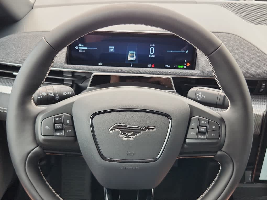 2025 Ford Mustang Mach-E GT - Photo 15