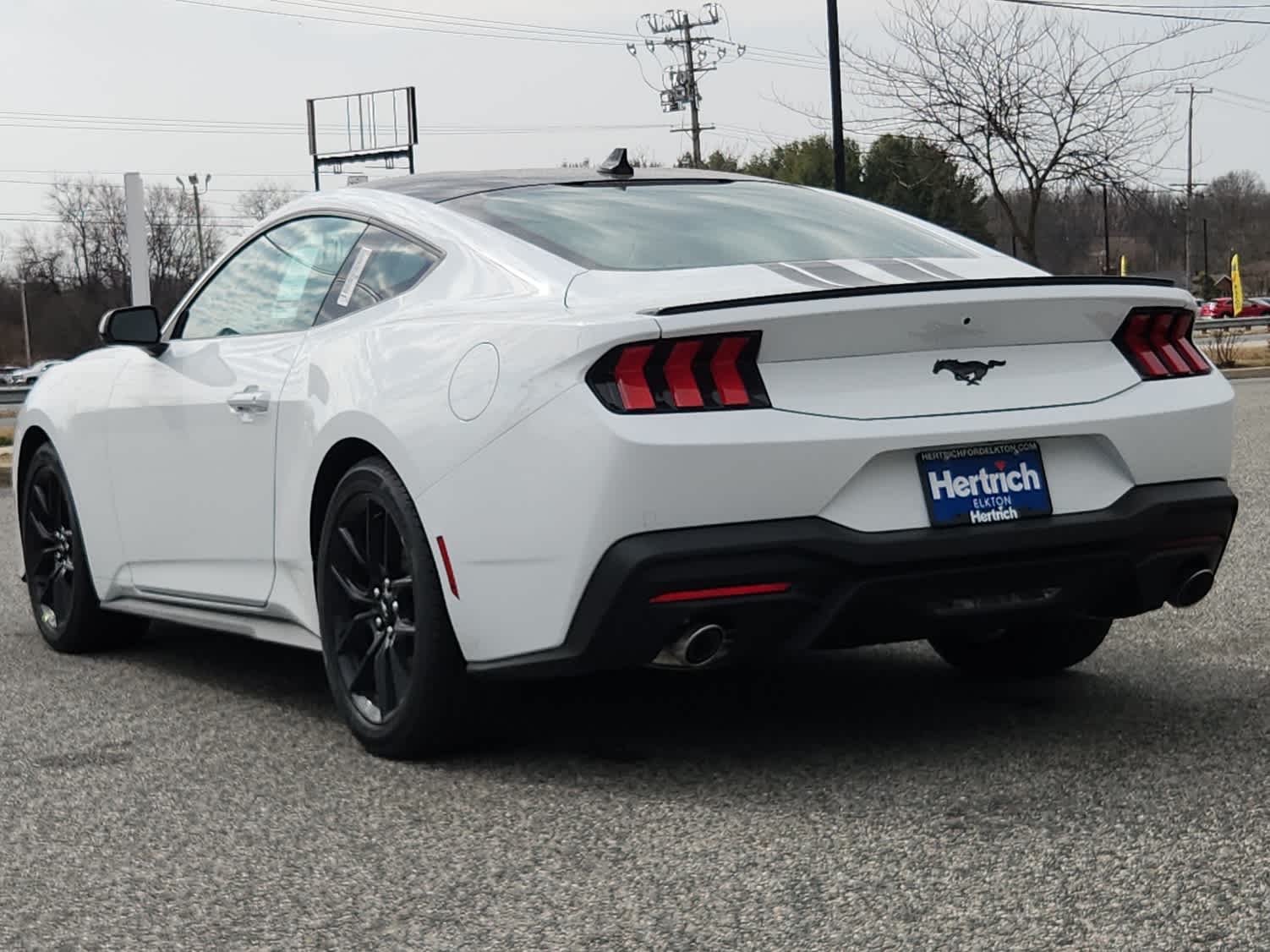 2025 Ford Mustang EcoBoost photo 4