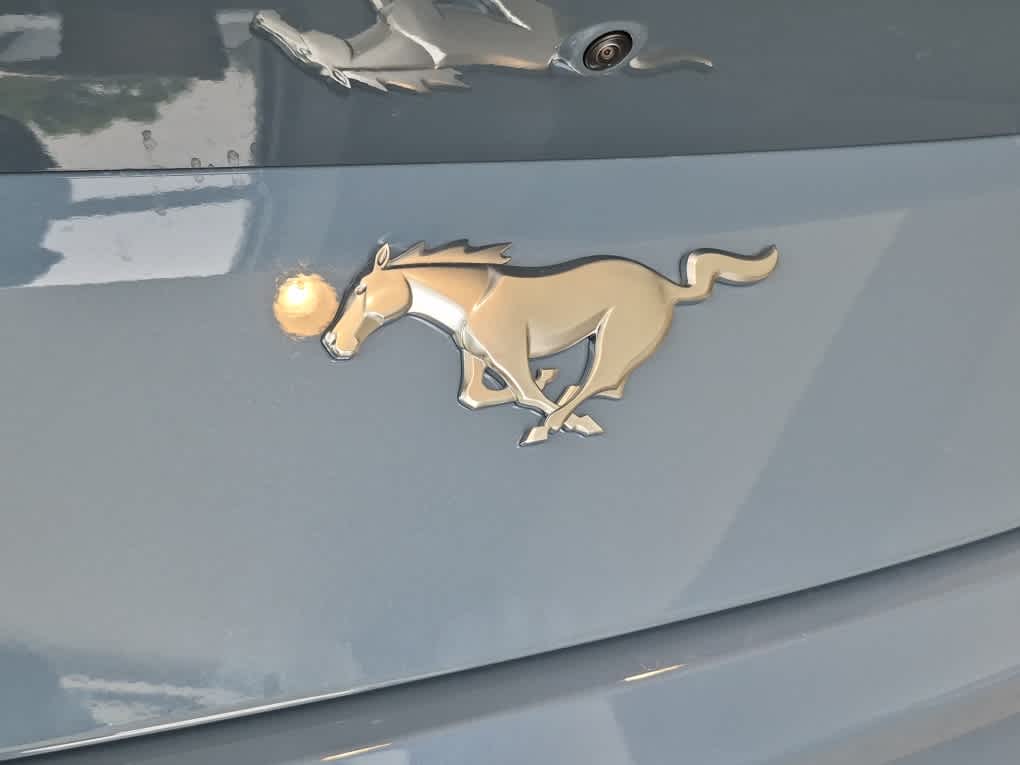 2026 Ford Mustang EcoBoost Fastback - Photo 15