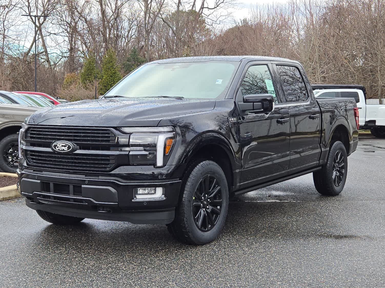 2025 Ford F-150 Platinum's photo