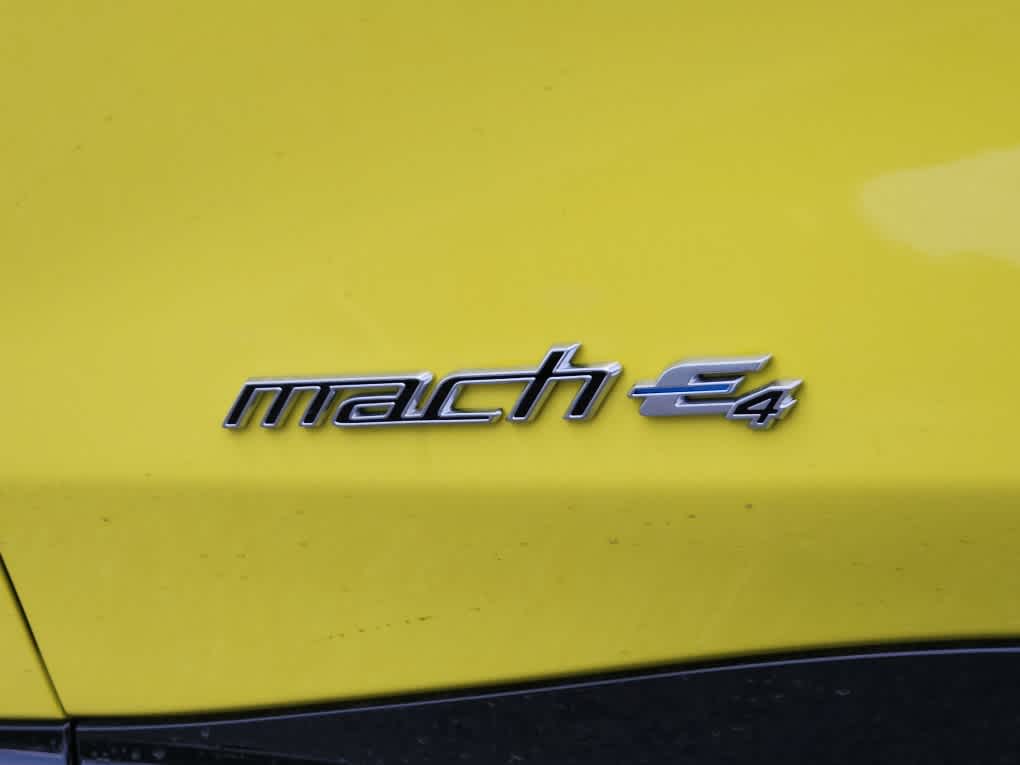 2025 Ford Mustang Mach-E GT - Photo 19