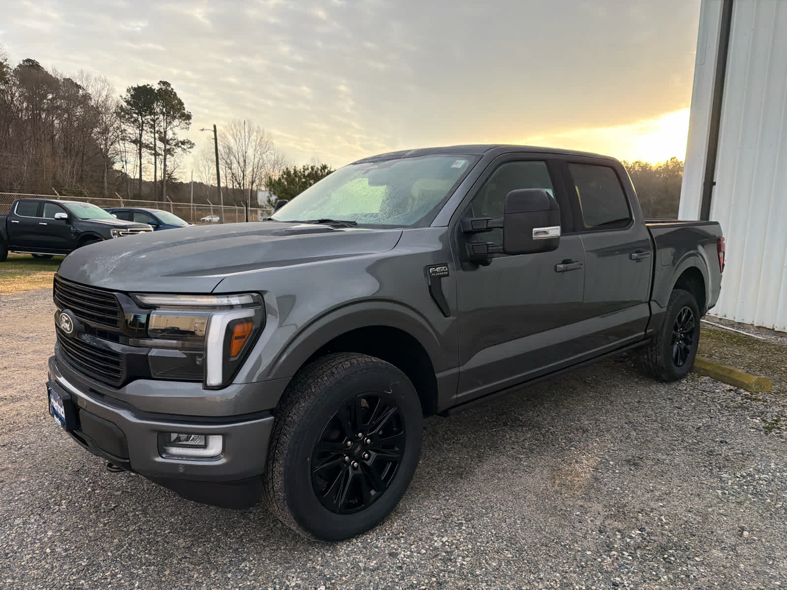 2025 Ford F-150 Platinum's photo