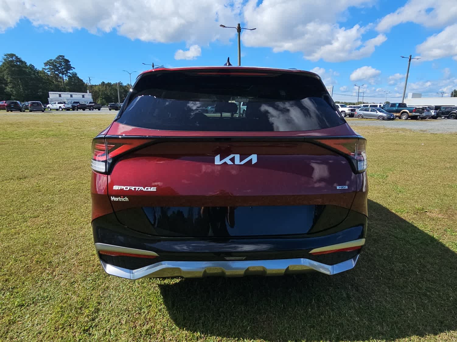 2023 Kia Sportage Hybrid photo 4