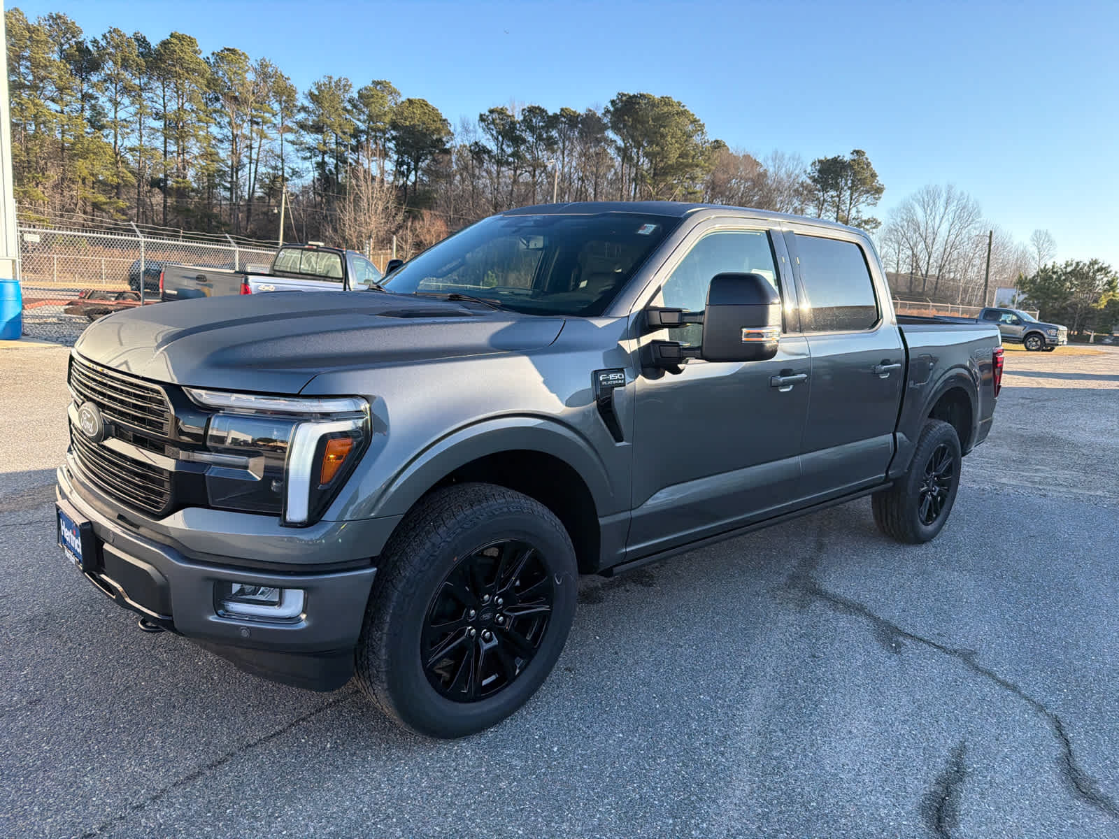 2025 Ford F-150 Platinum's photo