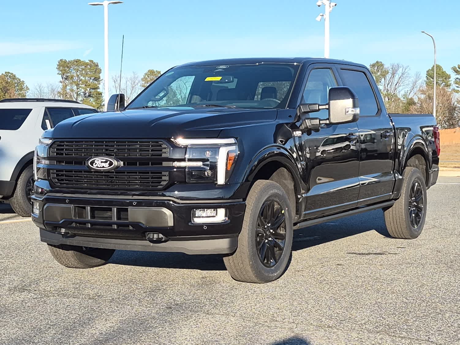 2025 Ford F-150 Platinum's photo