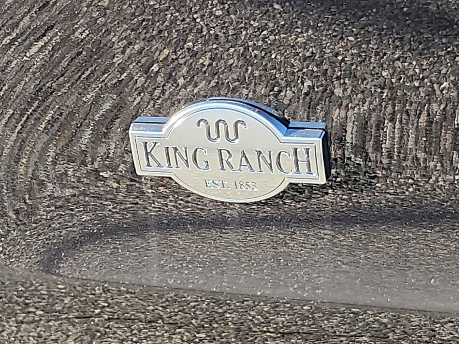 2025 Ford Expedition King Ranch - Photo 19