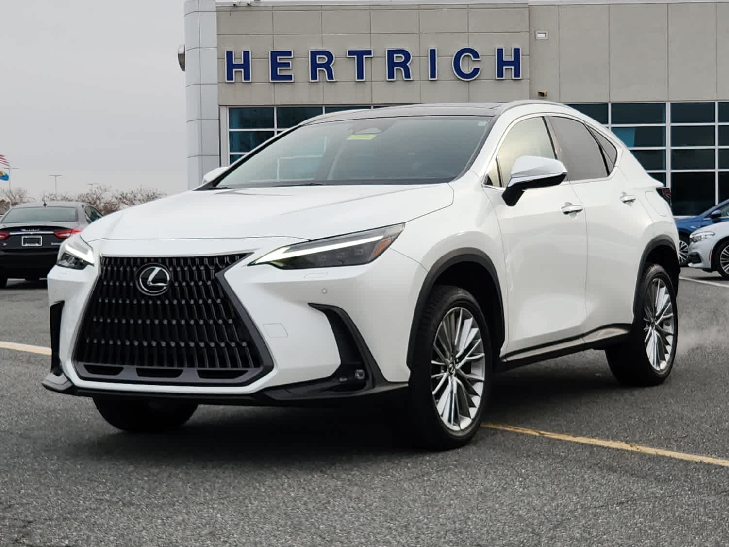 2022 Lexus NX 350's photo