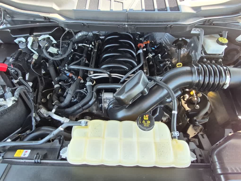 2023 Ford F-150 XLT - Photo 19