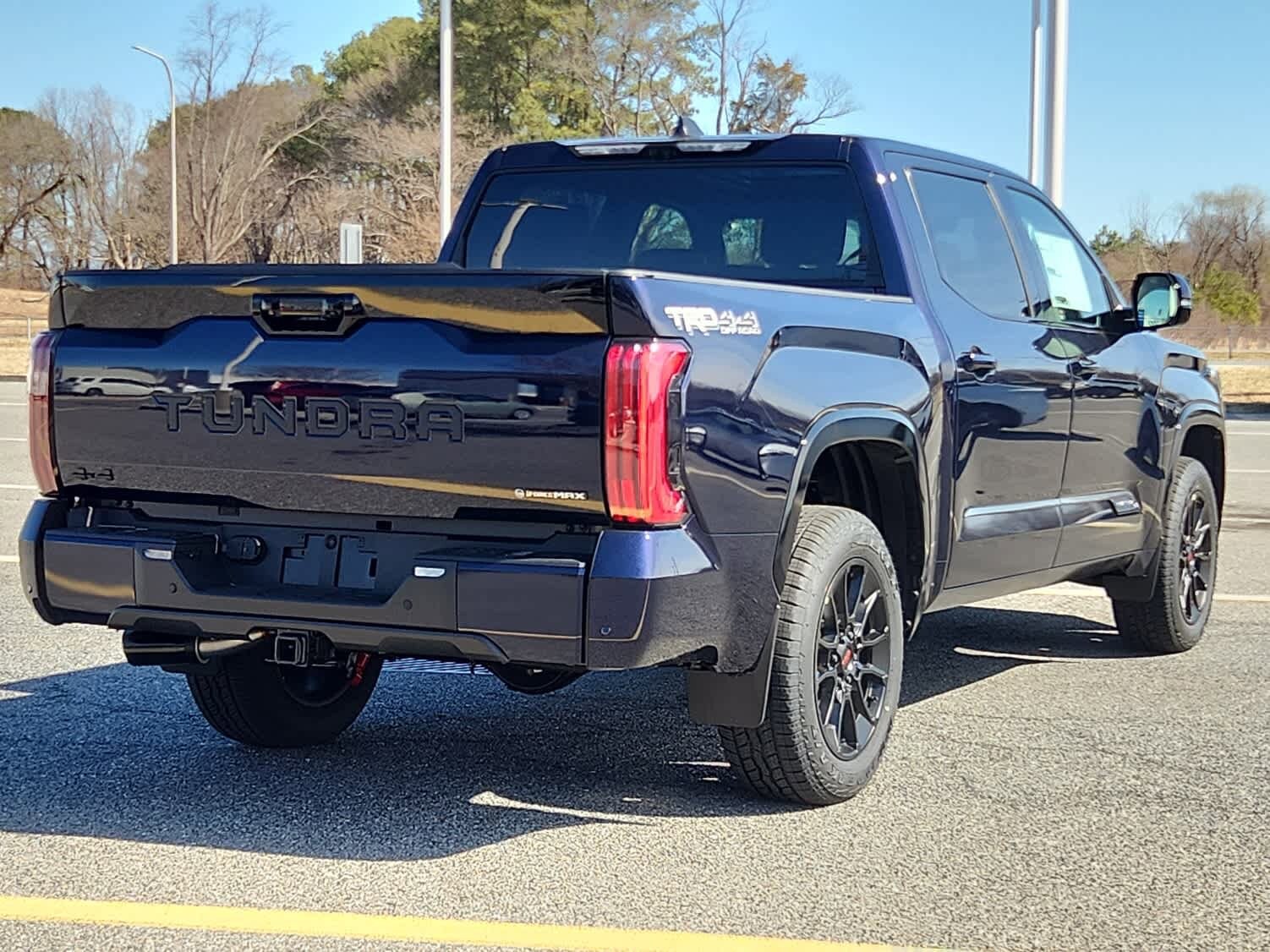 2025 Toyota Tundra Platinum CrewMax photo 3