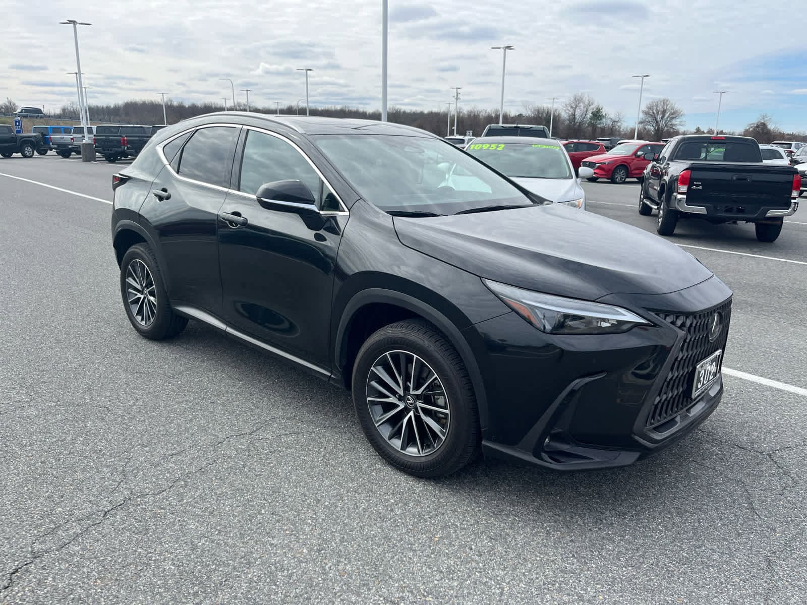 2024 Lexus NX 350 Premium AWD