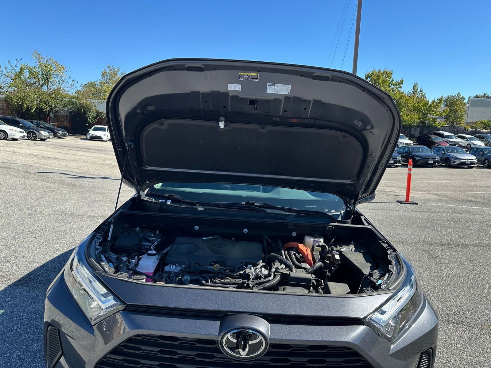 Thumbnail: 2025 Toyota RAV4 - 31