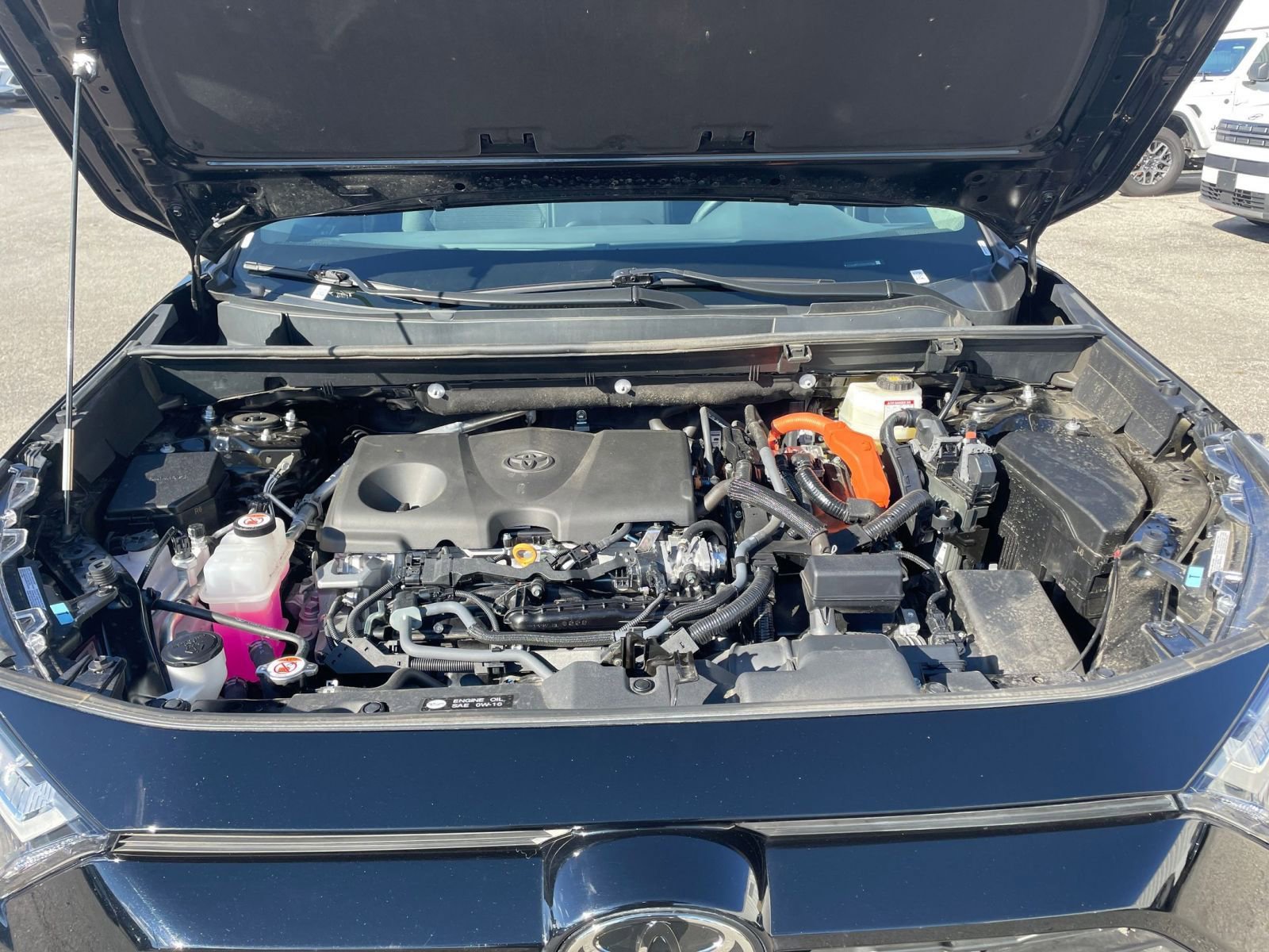 Thumbnail: 2025 Toyota RAV4 - 31