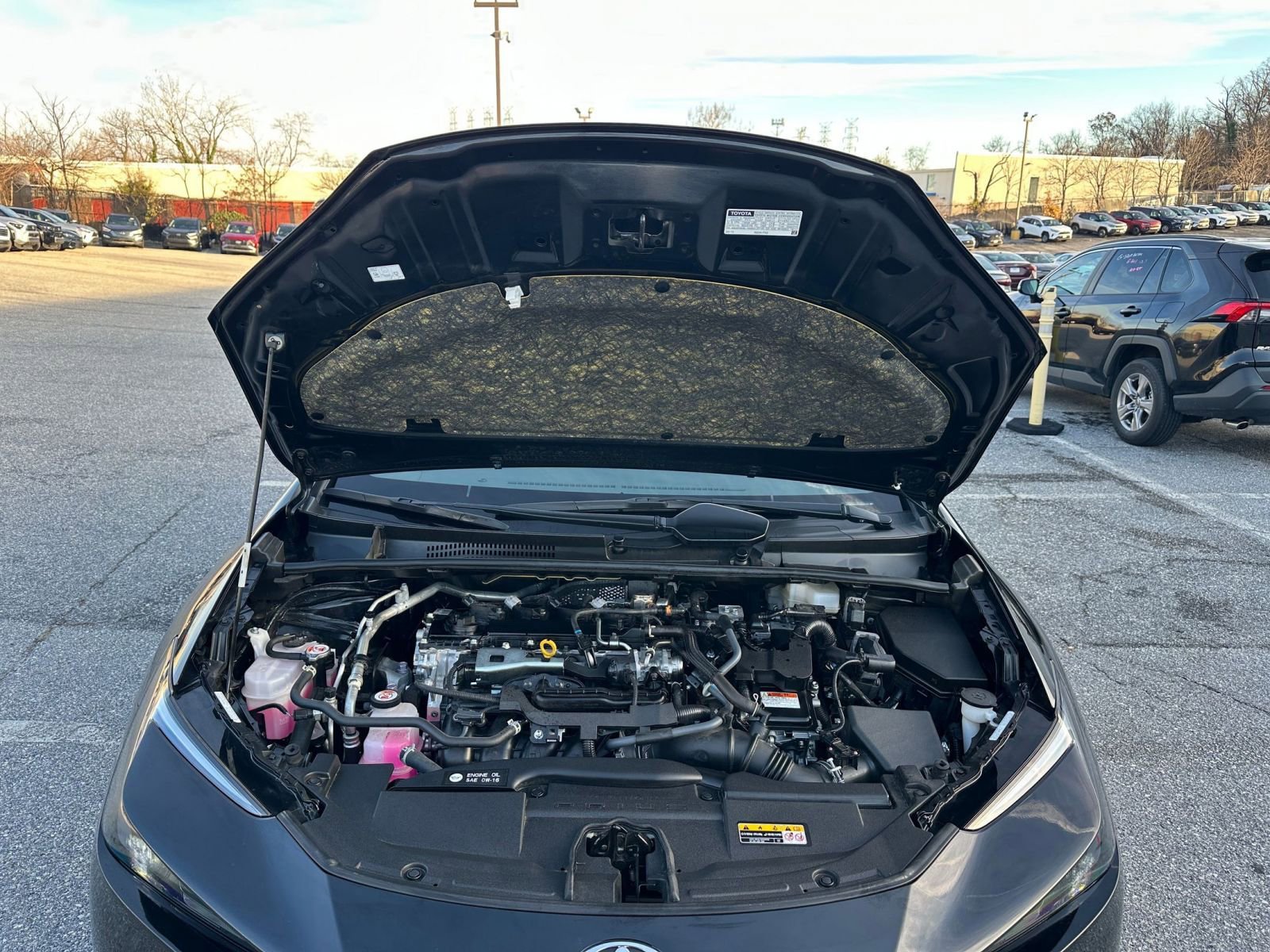 Thumbnail: 2025 Toyota Prius - 31