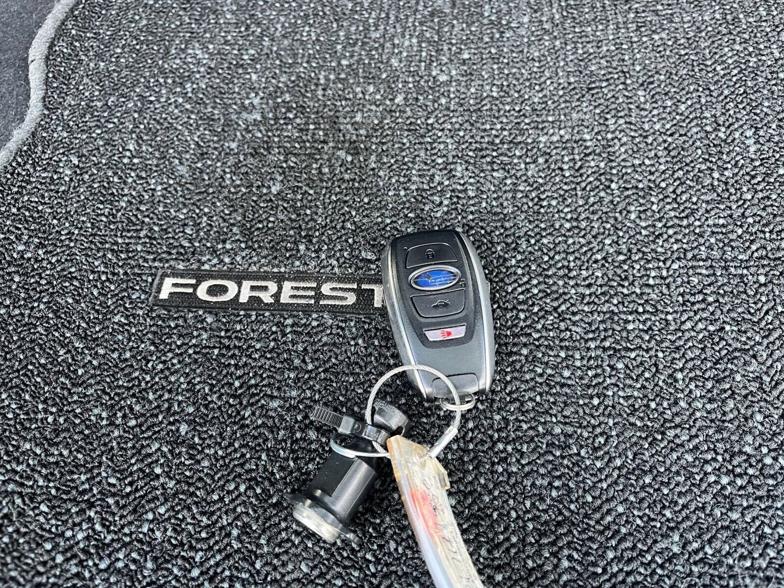 Thumbnail: 2025 Subaru Forester - 21