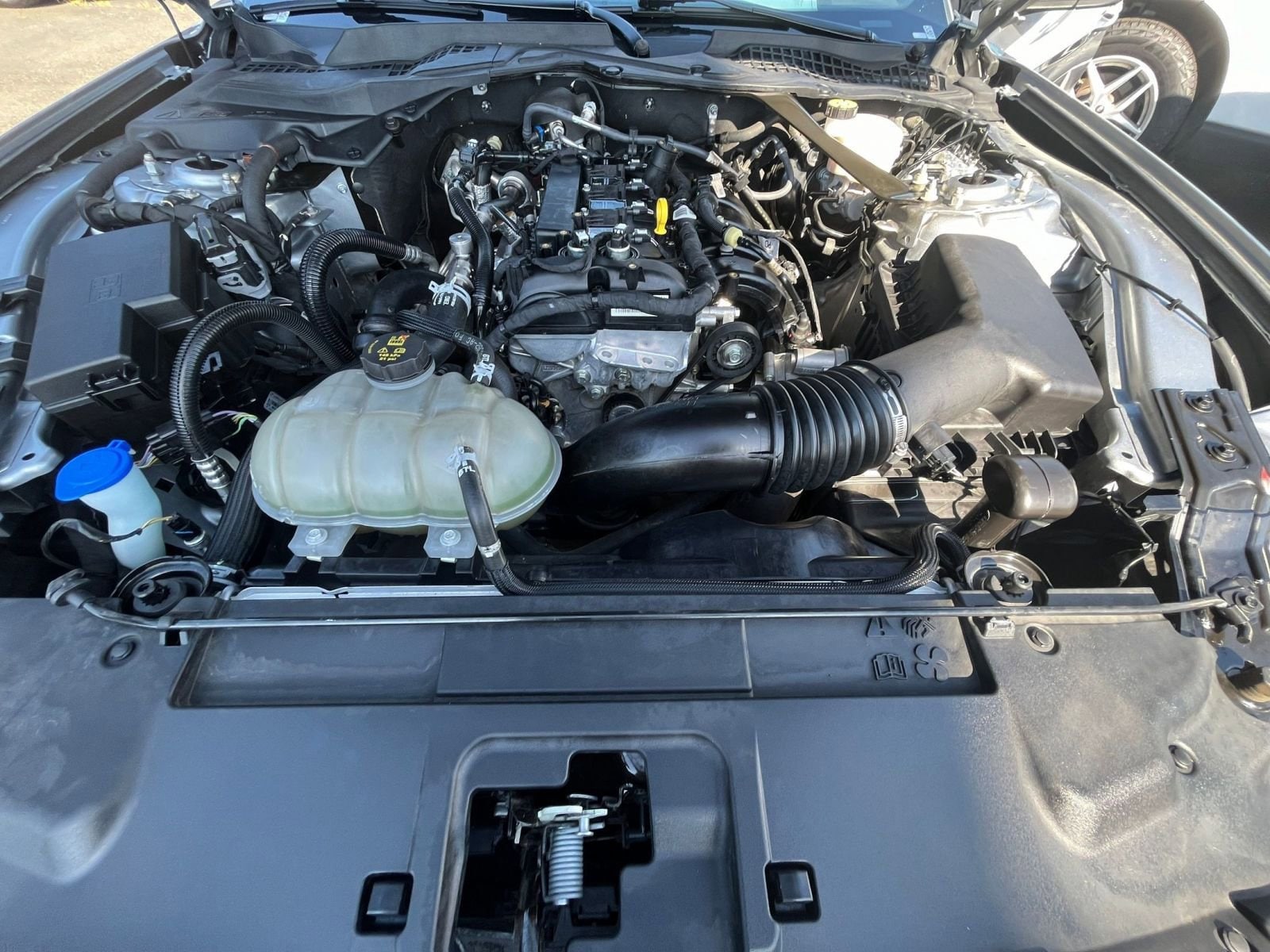 Thumbnail: 2023 Ford Mustang - 32