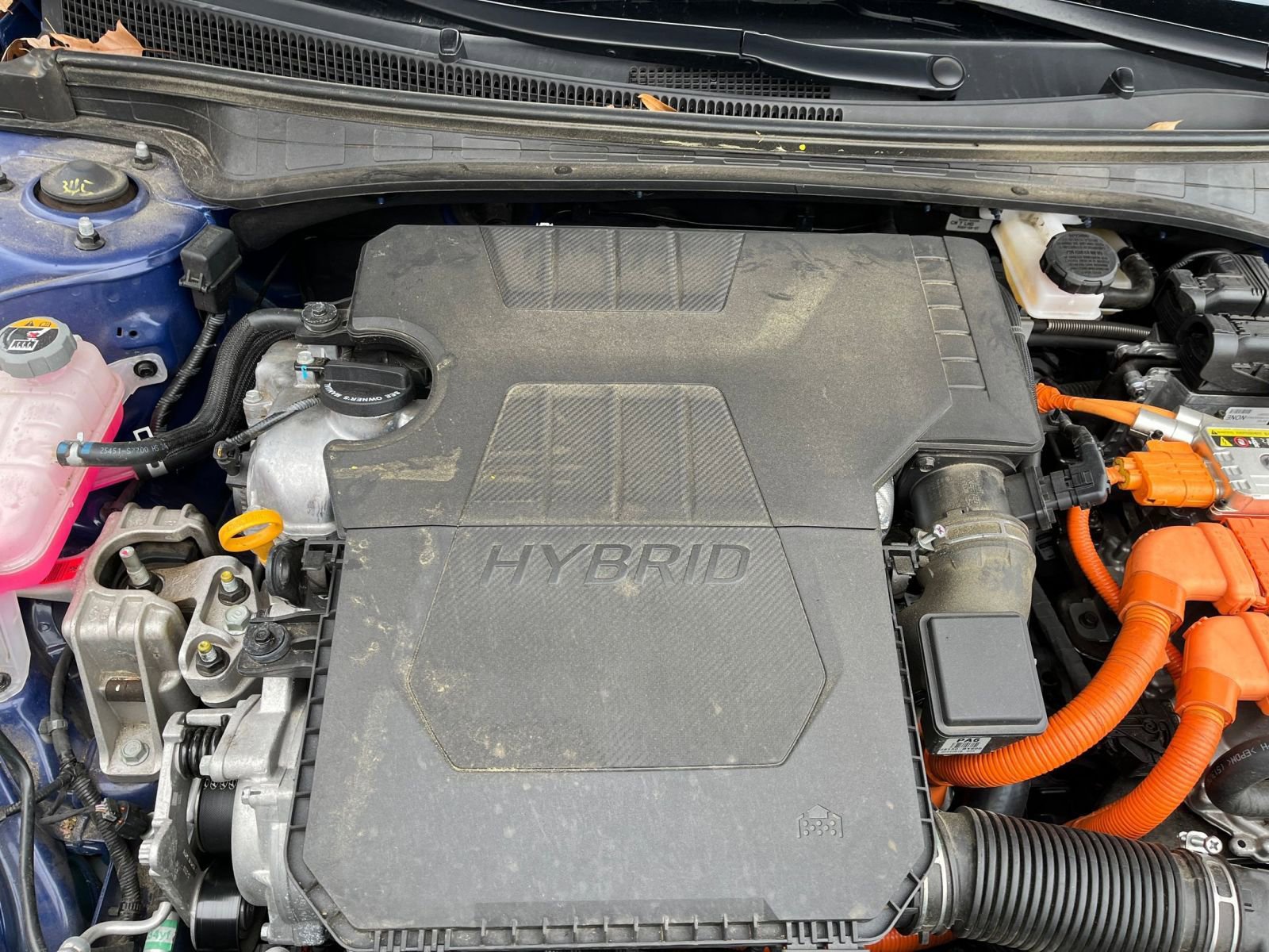 Thumbnail: 2025 Hyundai Elantra - 31