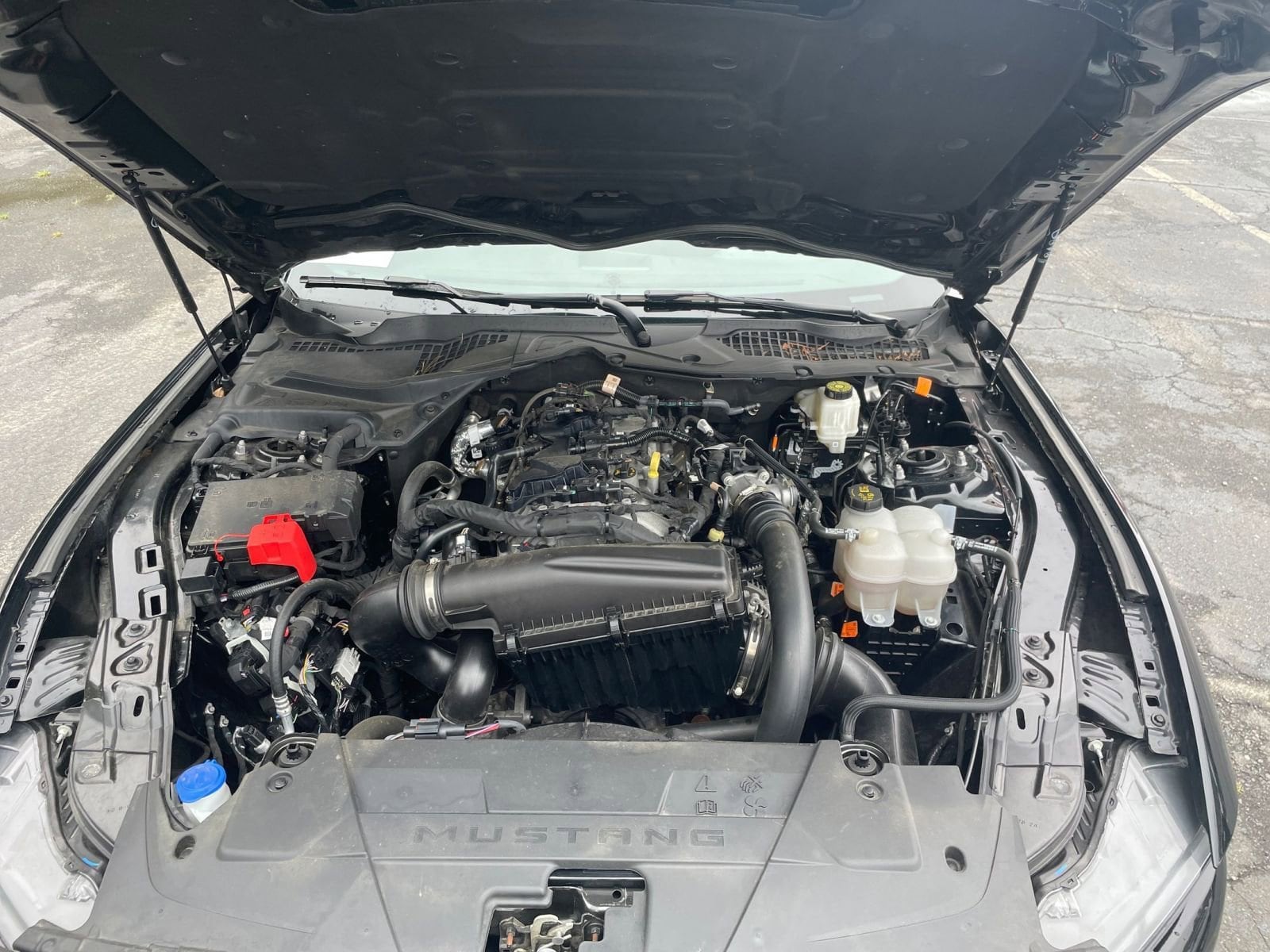 Thumbnail: 2024 Ford Mustang - 28