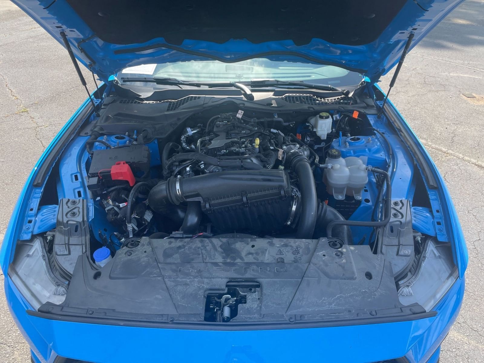 Thumbnail: 2024 Ford Mustang - 31