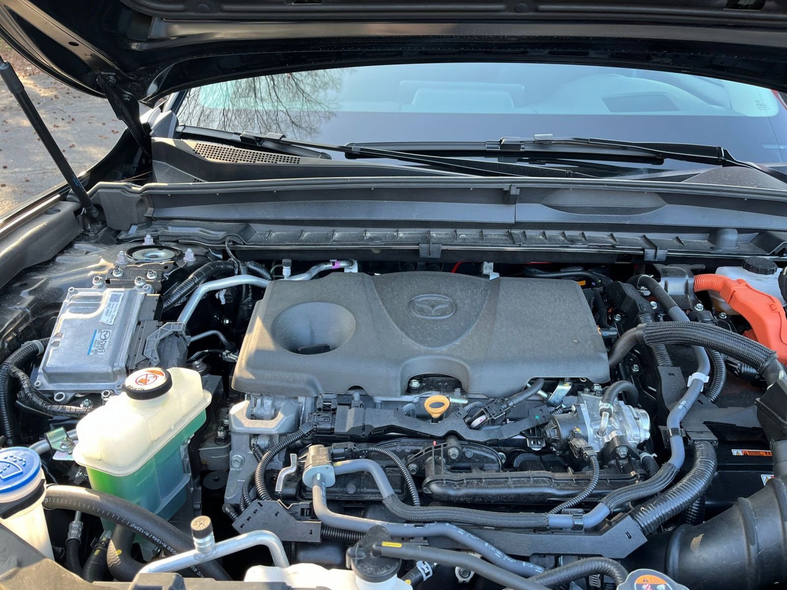 Thumbnail: 2025 Mazda CX-50 - 34