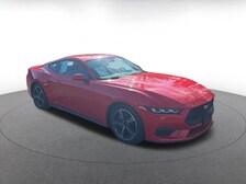 2024 Ford Mustang  -
                  Charlotte, NC