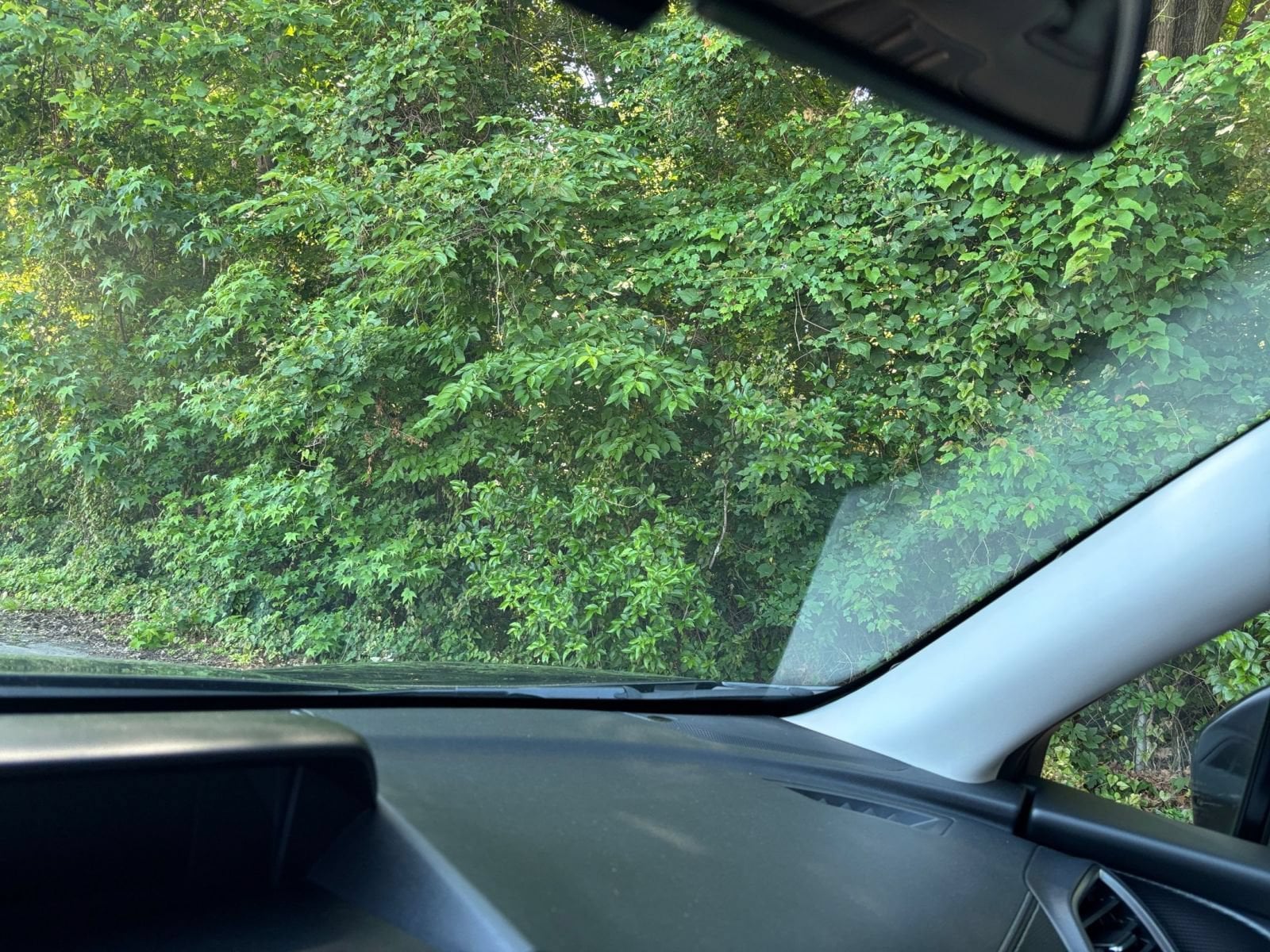 Thumbnail: 2024 Subaru Forester - 32