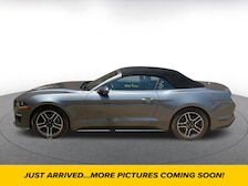 2022 Ford Mustang  -
                  Charlotte, NC