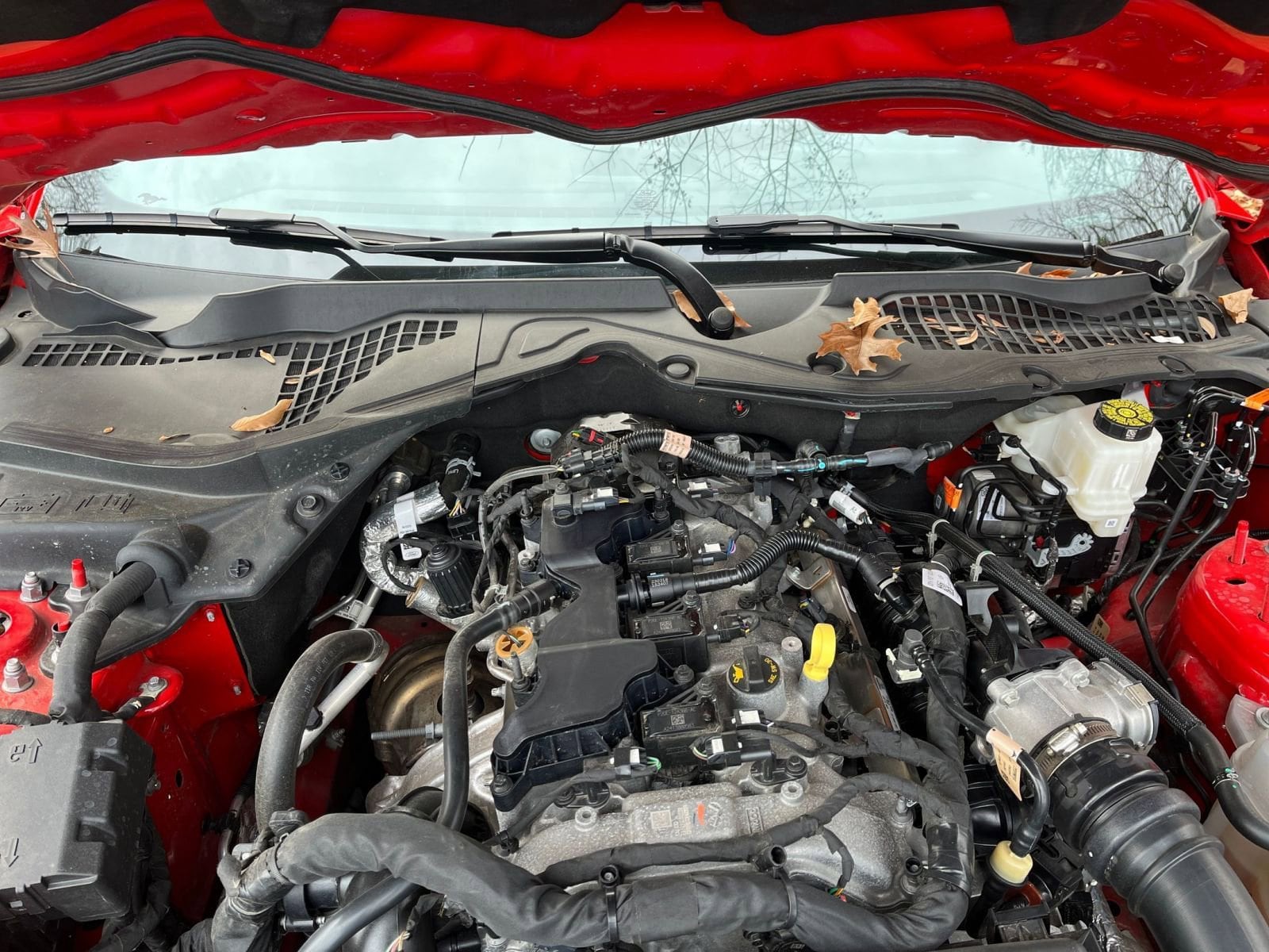 Thumbnail: 2024 Ford Mustang - 31