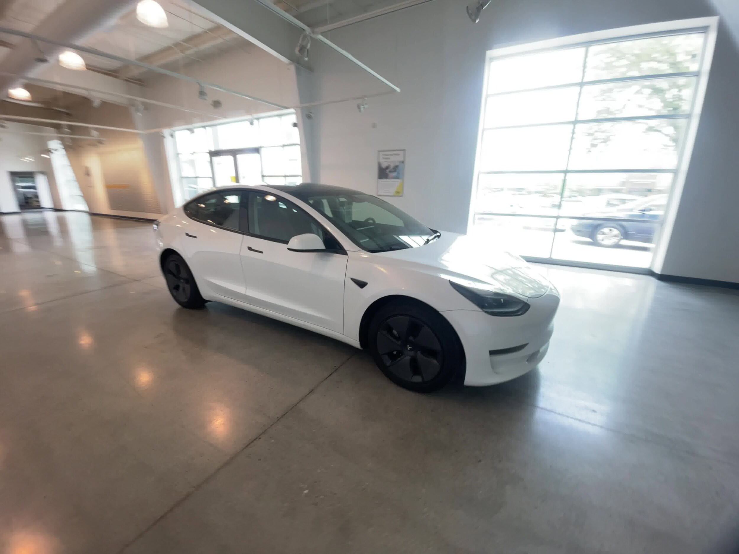 Certified 2023 Tesla Model 3  with VIN 5YJ3E1EA0PF434582 for sale in Seattle, WA