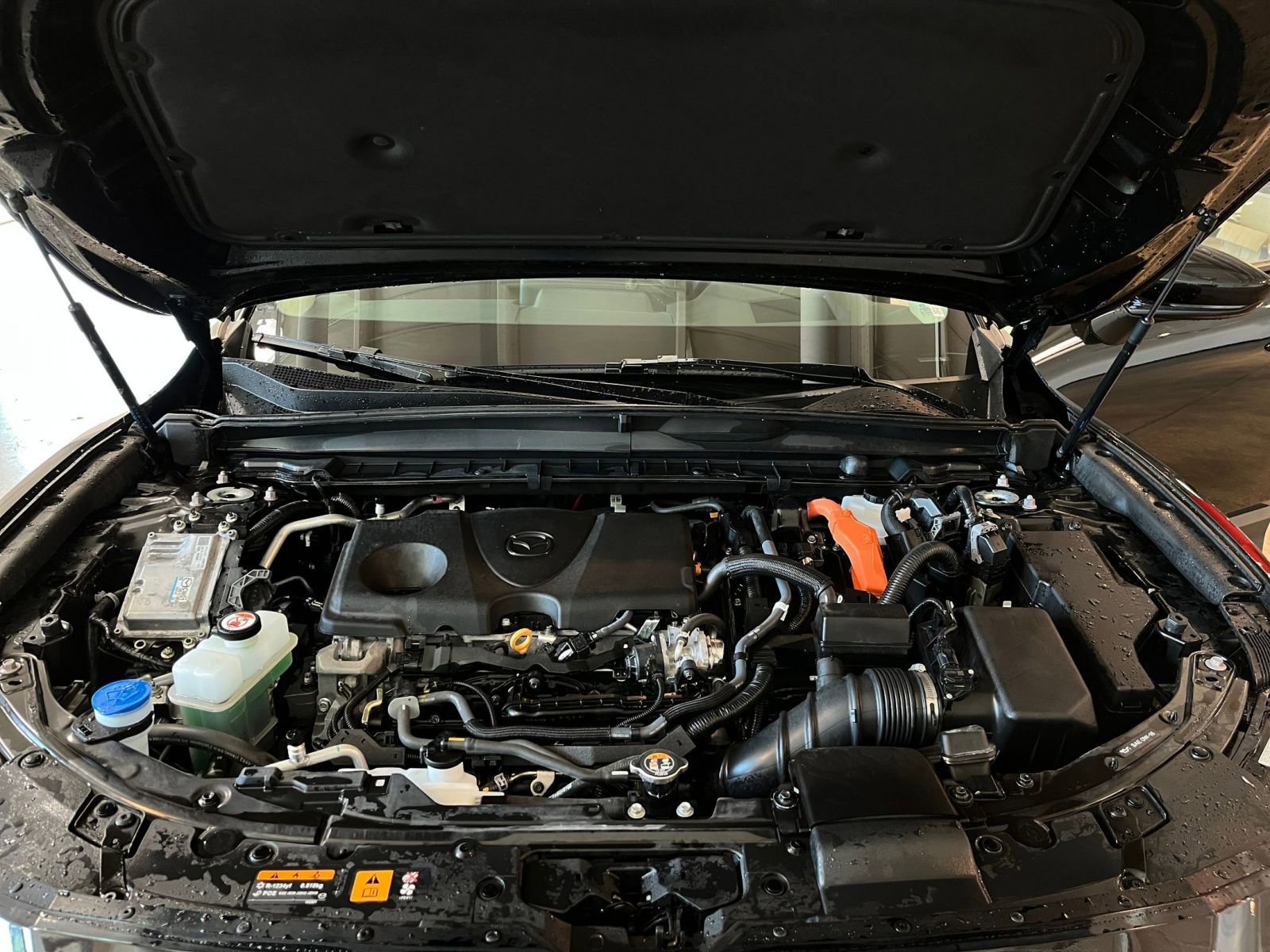 Thumbnail: 2025 Mazda CX-50 - 34