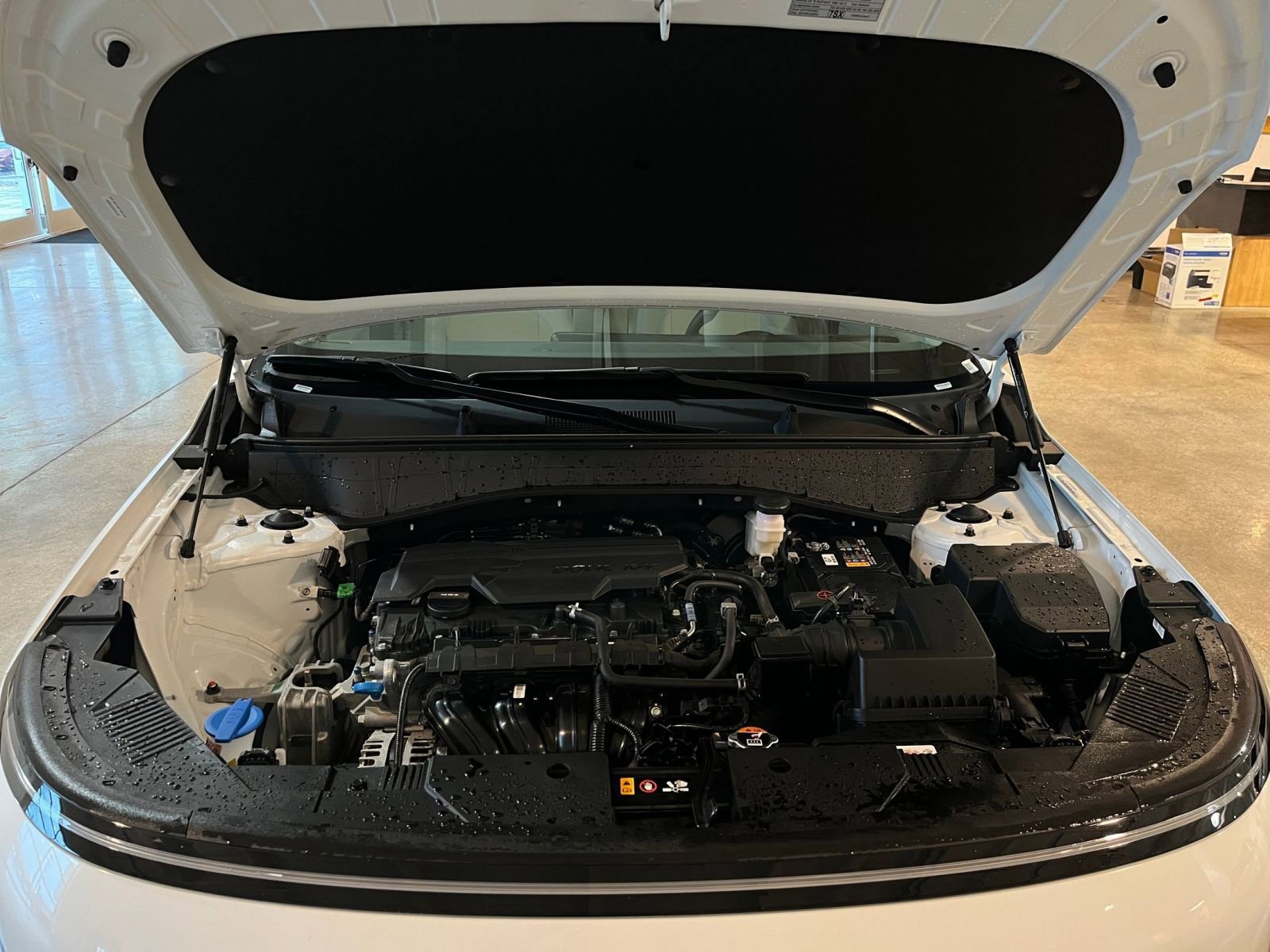 Thumbnail: 2025 Hyundai Kona - 32