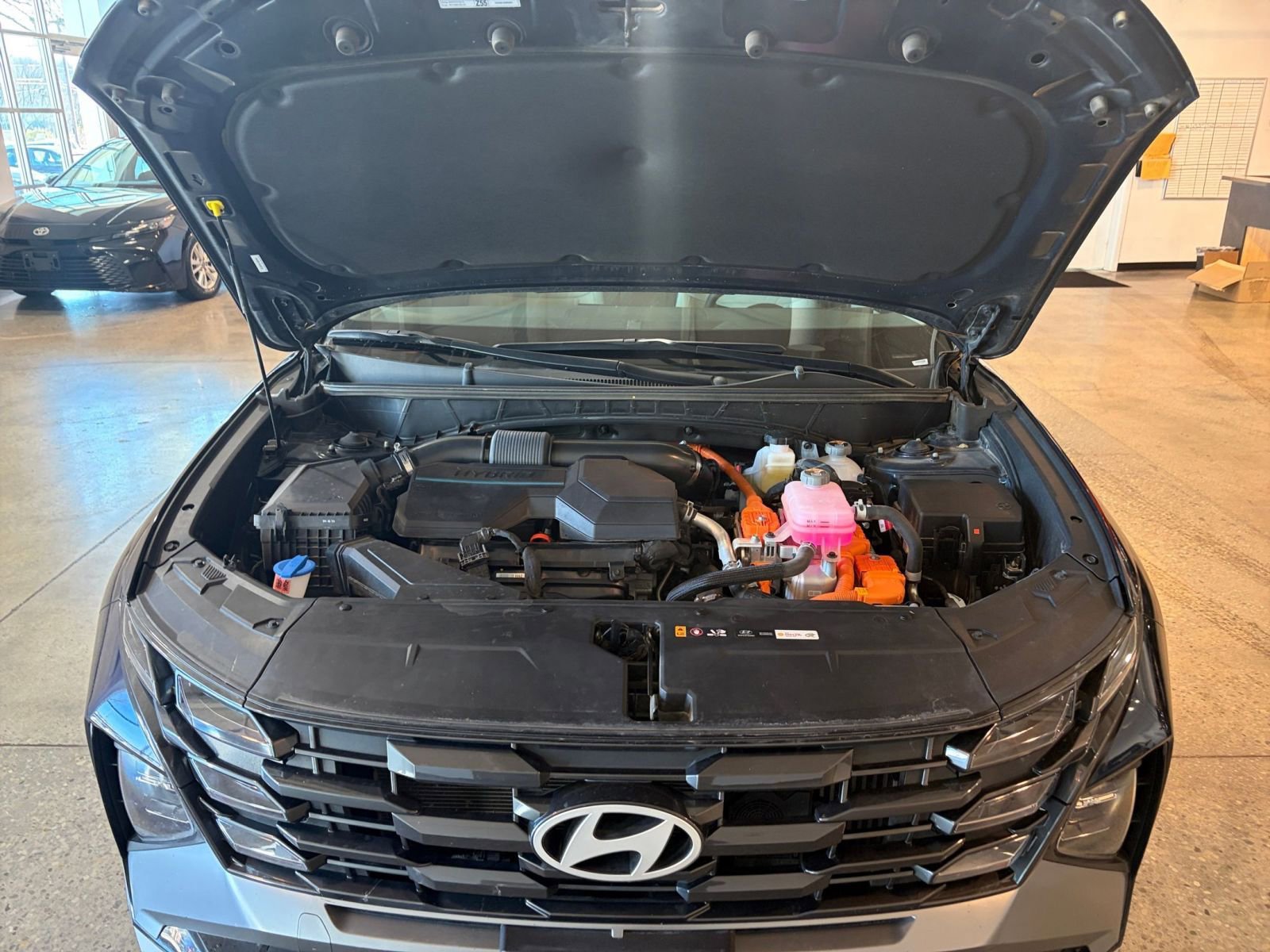 Thumbnail: 2025 Hyundai Tucson - 32