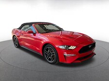2023 Ford Mustang  -
                  Clearwater, FL