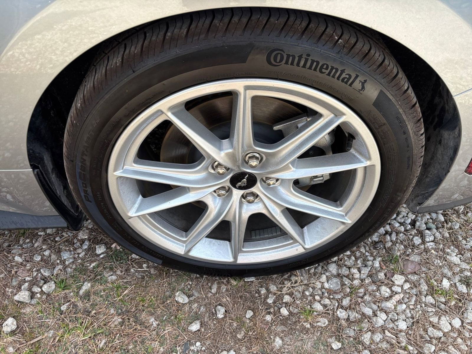 Thumbnail: 2025 Ford Mustang - 30