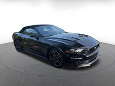 2022 Ford Mustang  -
                  Clearwater, FL