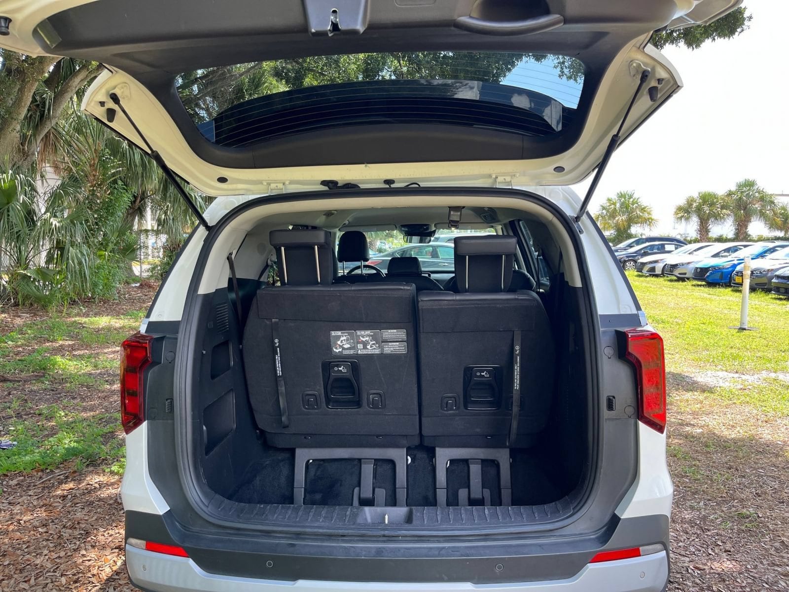 Thumbnail: 2026 Kia Carnival - 32